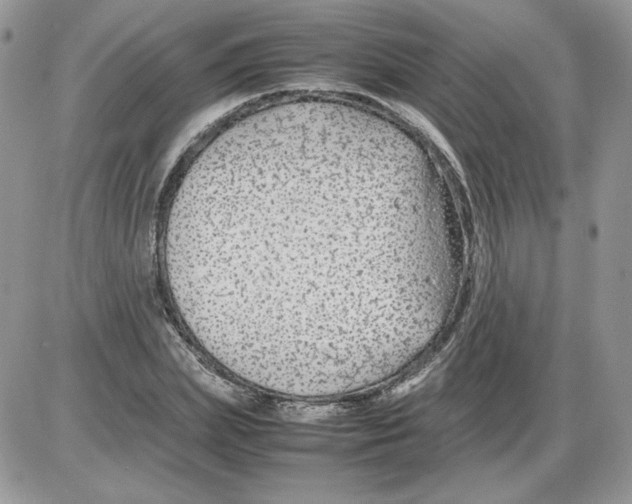 X0000086080831200704202149