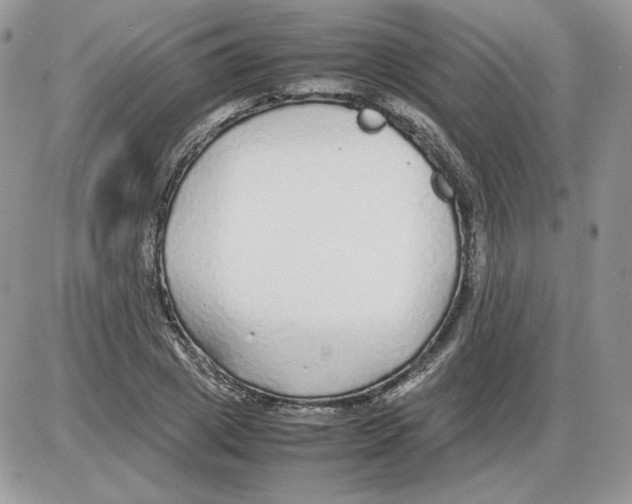 X0000086080833200704202149