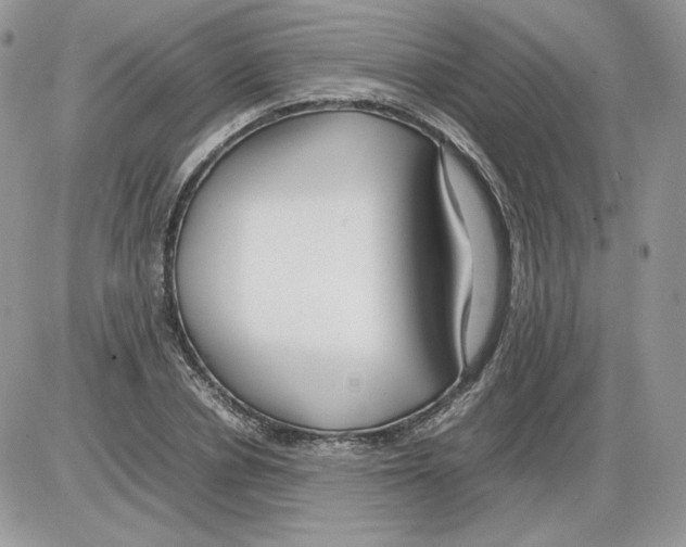 X0000086080834200704202149