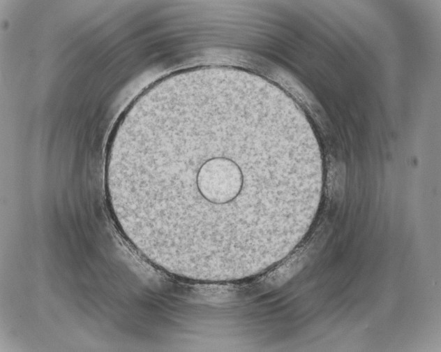 X0000086080836200704202149