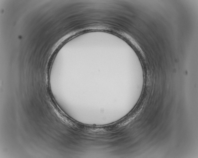 X0000086080837200704202149