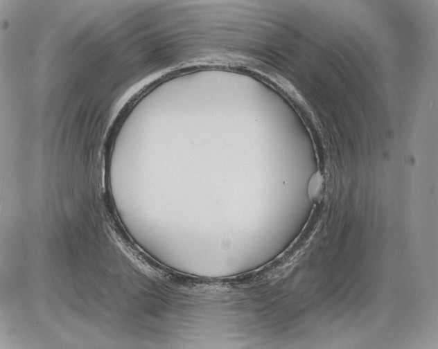 X0000086080838200704202149