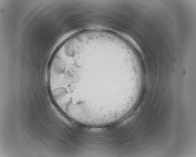 X0000086080839200704202149