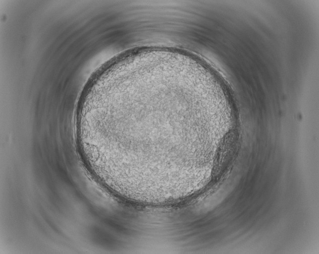 X0000086080840200704202149