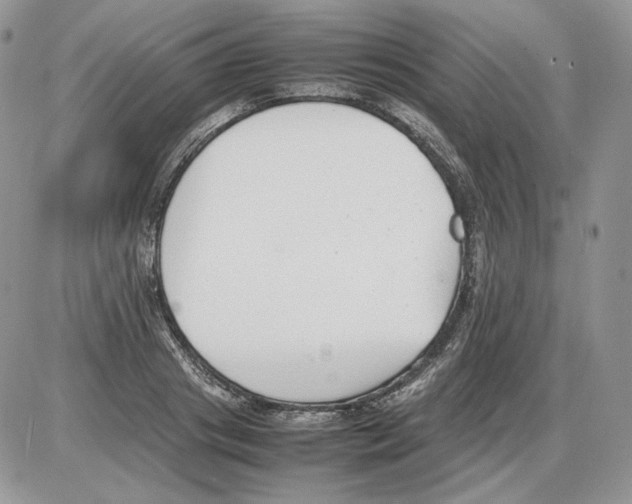 X0000086080841200704202149