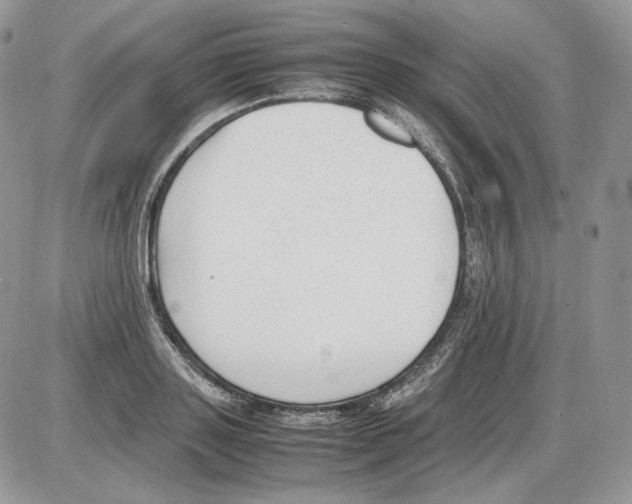 X0000086080843200704202149