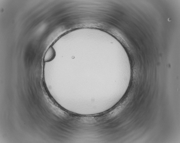 X0000086080844200704202149