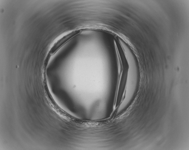 X0000086080846200704202149