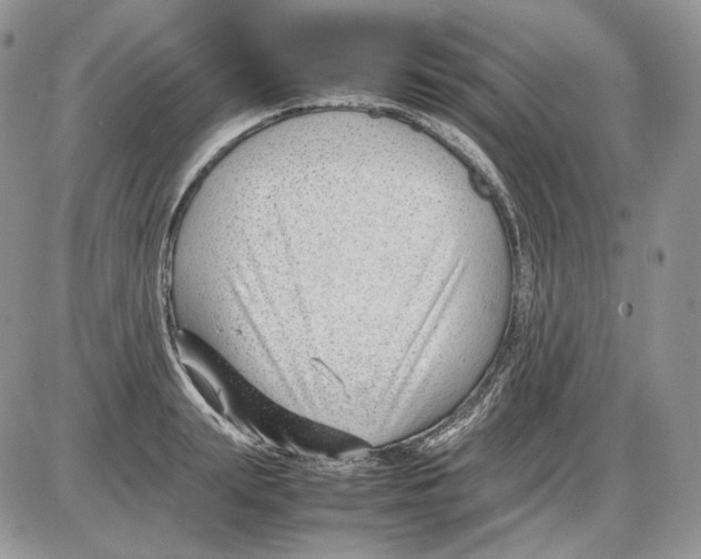 X0000086080847200704202149