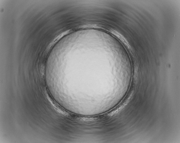 X0000086080849200704202149