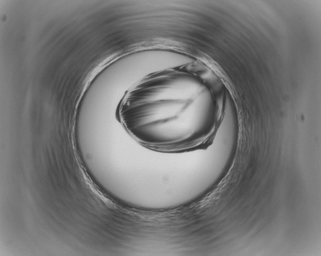 X0000086080850200704202149