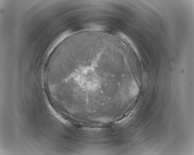 X0000086080851200704202149