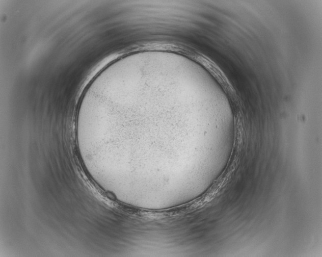 X0000086080852200704202149