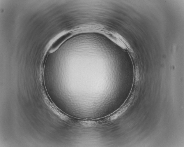 X0000086080854200704202149