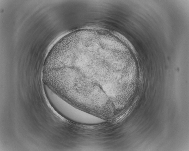 X0000086080855200704202149