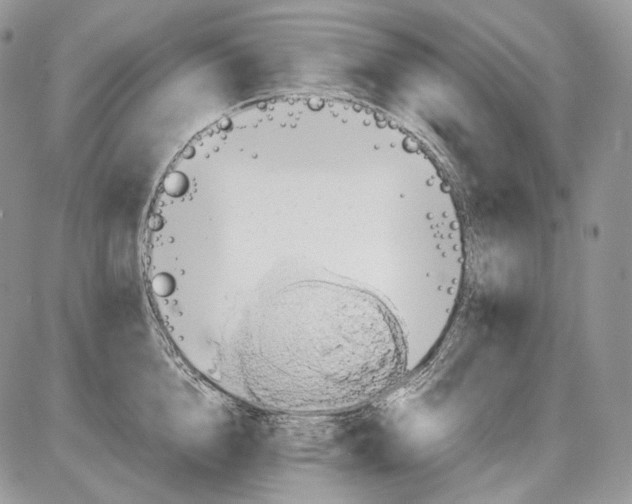 X0000086080856200704202149