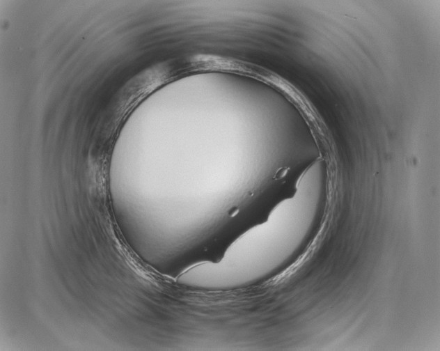 X0000086080857200704202149