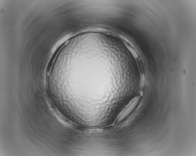 X0000086080858200704202149