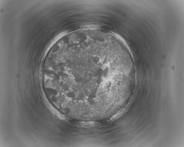 X0000086080859200704202149