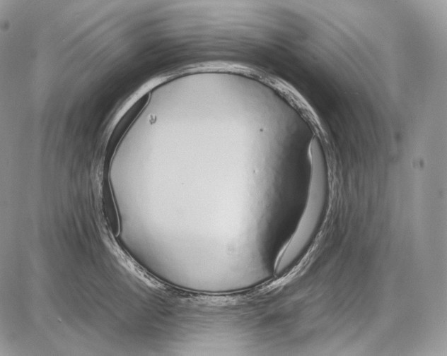 X0000086080860200704202149