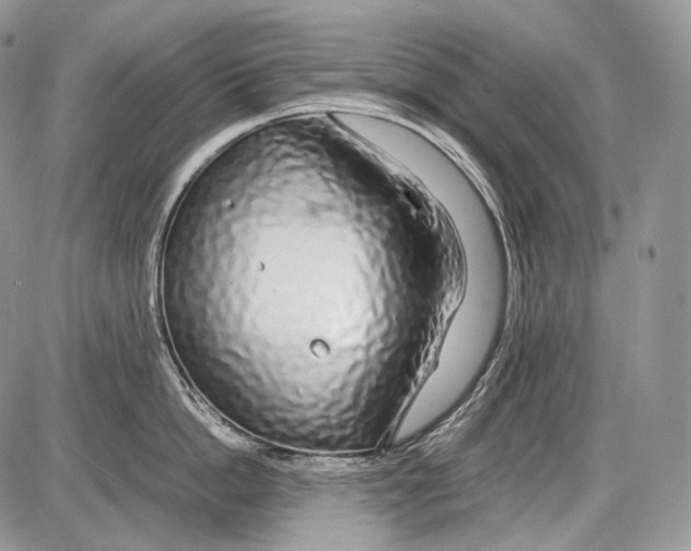 X0000086080862200704202149