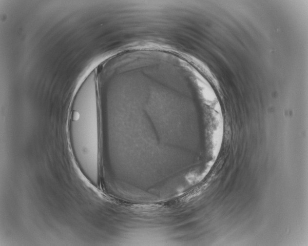 X0000086080863200704202149