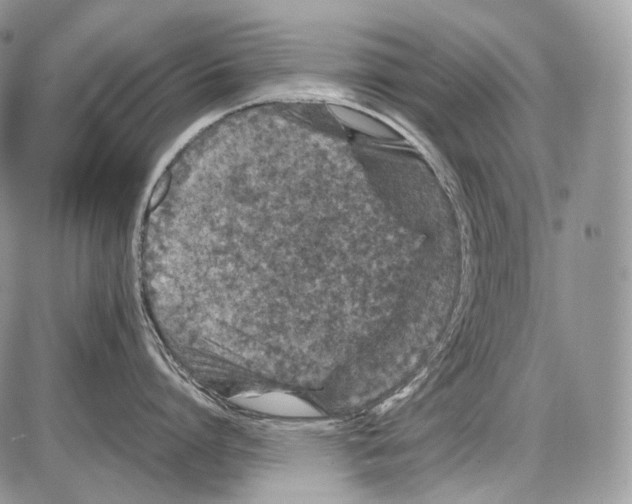 X0000086080864200704202149