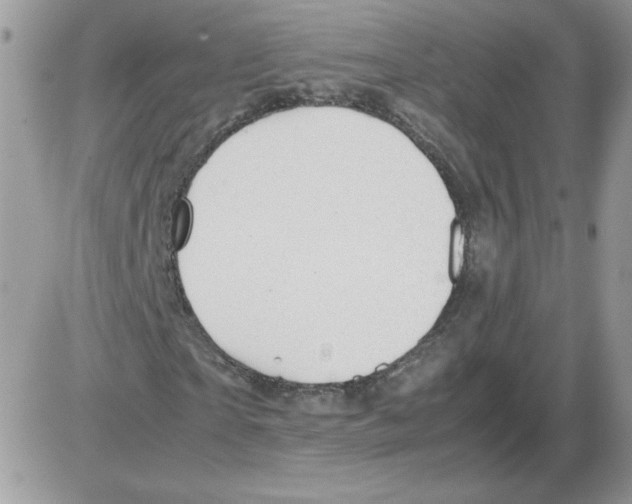 X0000086080865200704202149