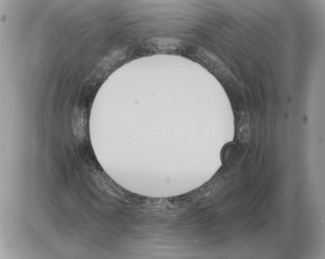 X0000086080866200704202149