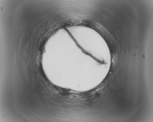 X0000086080867200704202149