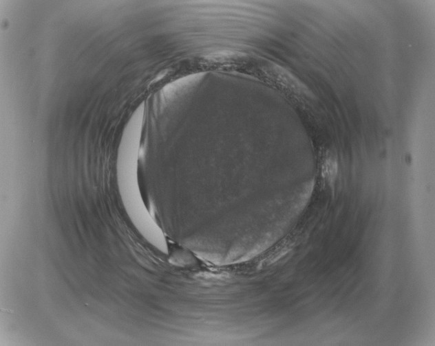 X0000086080868200704202149