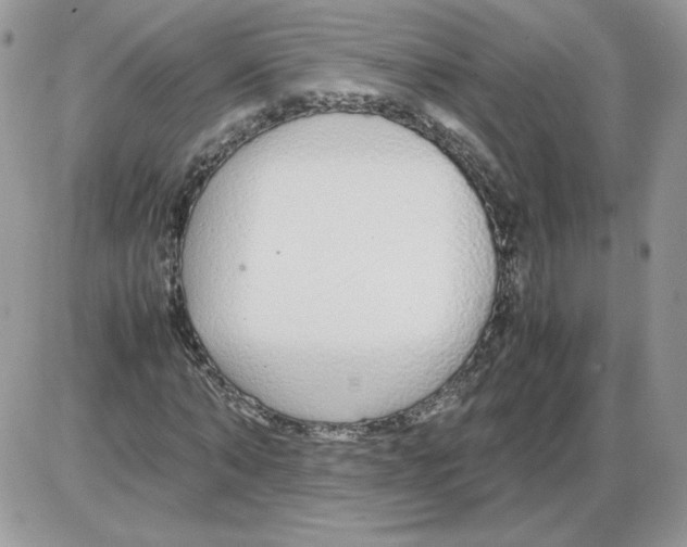 X0000086080870200704202149