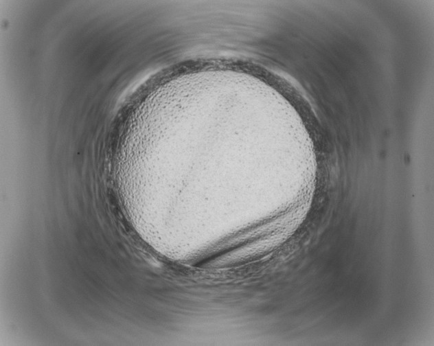 X0000086080871200704202149