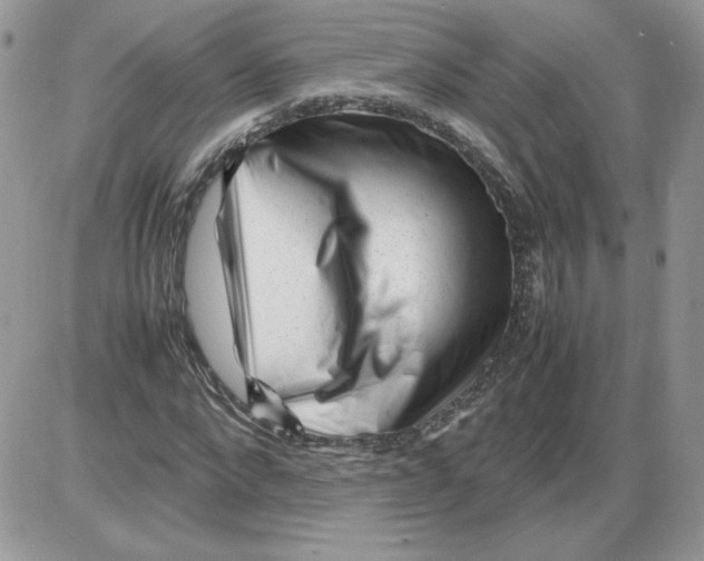 X0000086080872200704202148