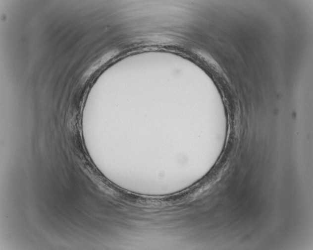 X0000086080873200704202148