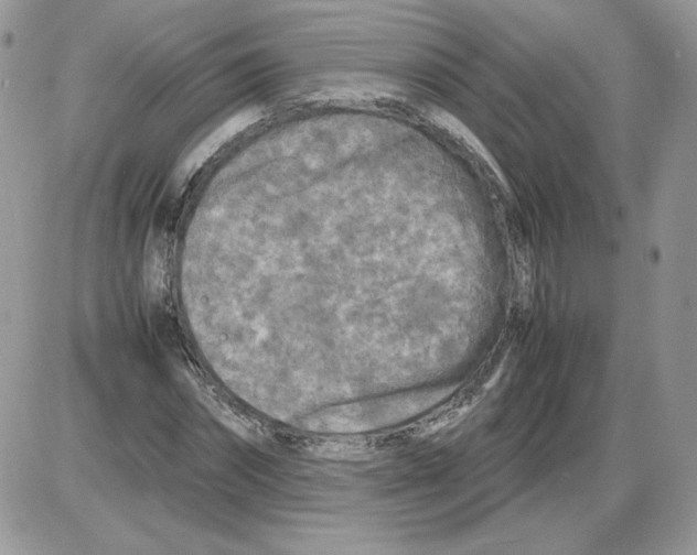 X0000086080874200704202148