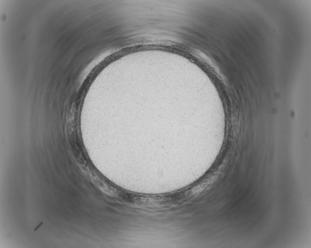 X0000086080875200704202148