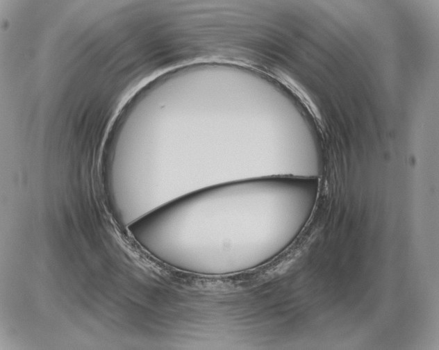 X0000086080876200704202148