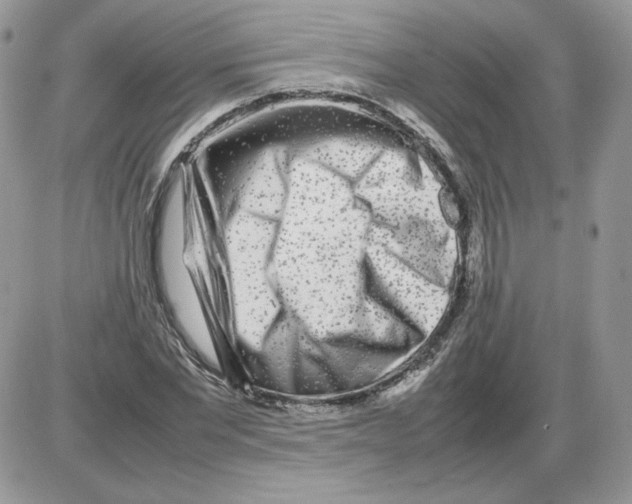 X0000086080877200704202148