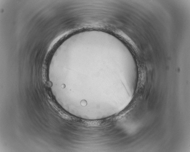 X0000086080878200704202148