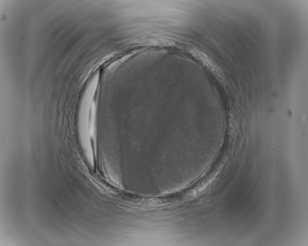 X0000086080881200704202148