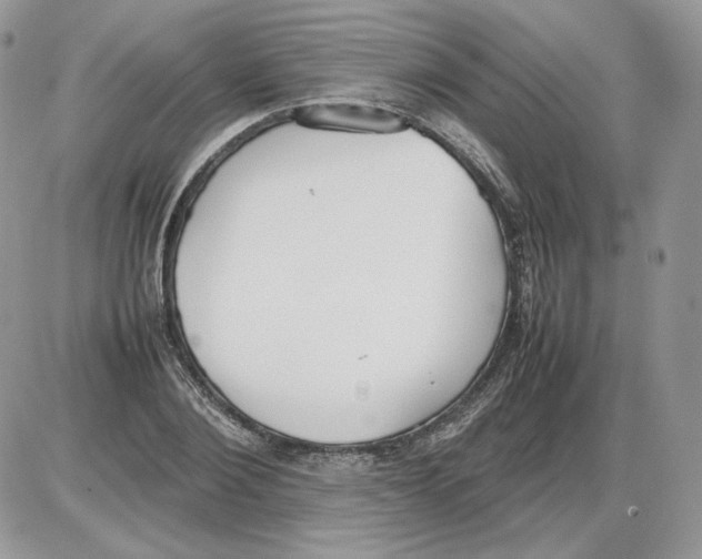 X0000086080884200704202148