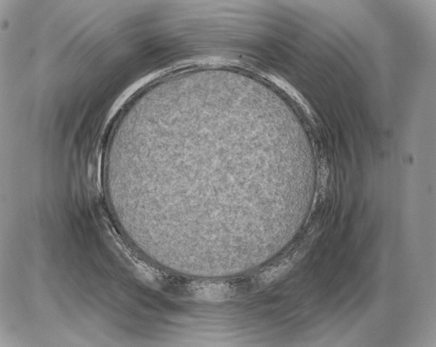 X0000086080886200704202148