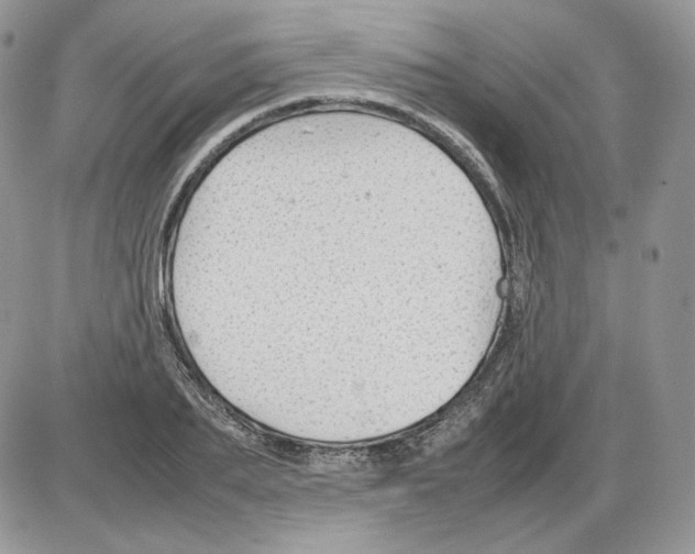 X0000086080887200704202148