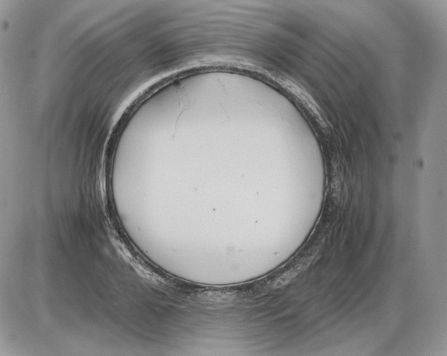 X0000086080888200704202148