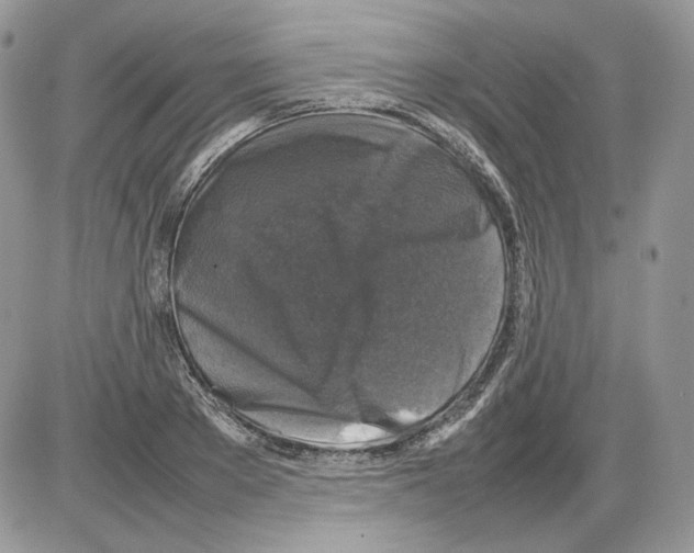 X0000086080889200704202148