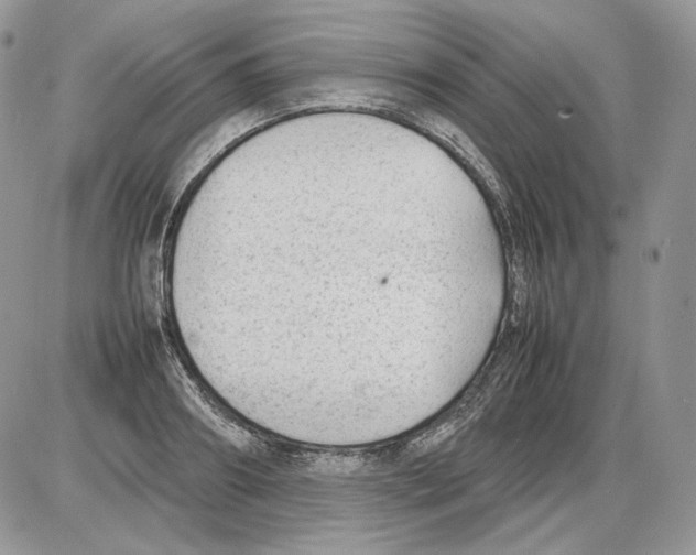 X0000086080890200704202148