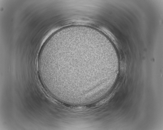 X0000086080891200704202148