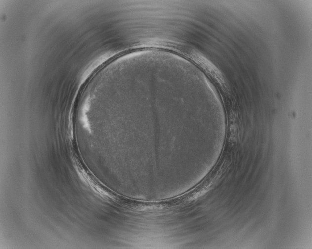 X0000086080892200704202148