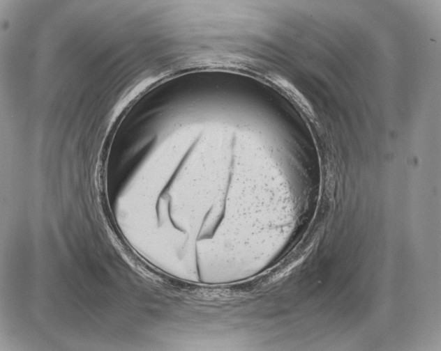 X0000086080893200704202148